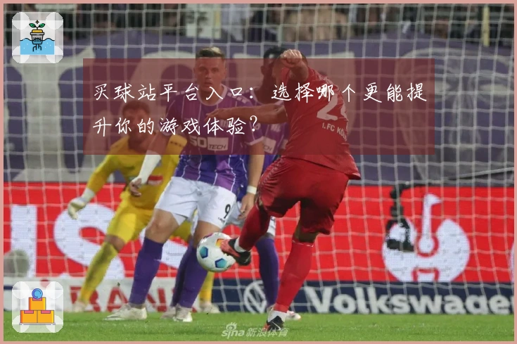 买球站平台入口:选择哪个更能提升你的游戏体验?