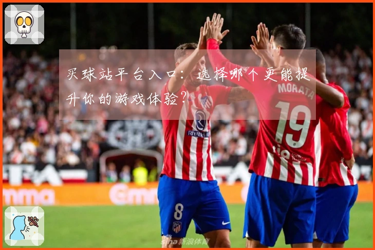 买球站平台入口：选择哪个更能提升你的游戏体验？